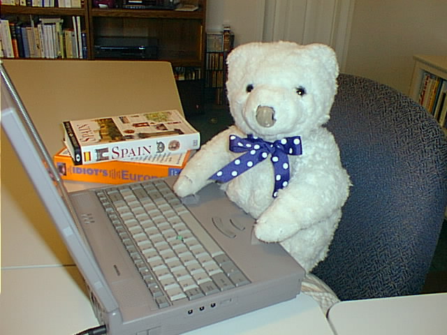 Cub Reporter Perry Bear