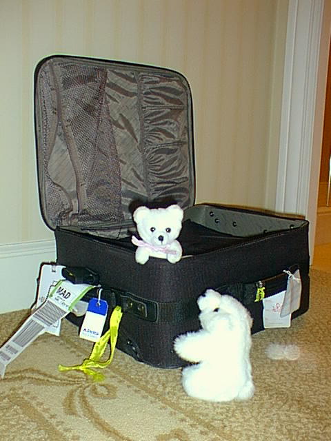 Oh, no! Stowaways!